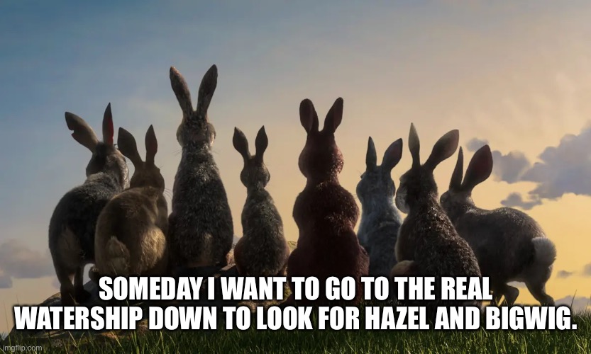 Watership Down | SOMEDAY I WANT TO GO TO THE REAL WATERSHIP DOWN TO LOOK FOR HAZEL AND BIGWIG. | image tagged in movies | made w/ Imgflip meme maker