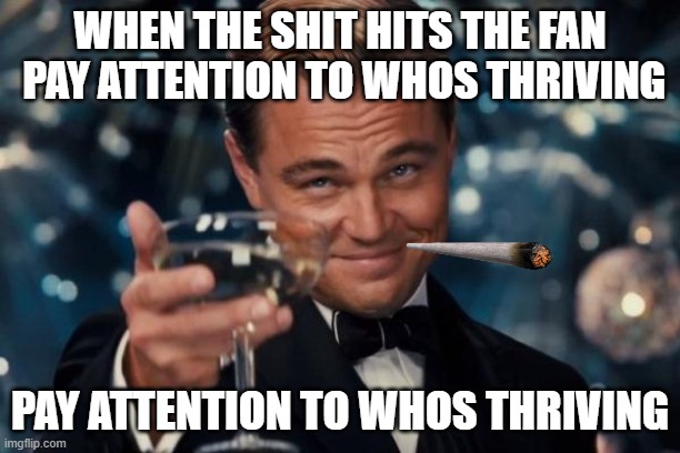 Leonardo Dicaprio Cheers | WHEN THE SHIT HITS THE FAN  PAY ATTENTION TO WHOS THRIVING; PAY ATTENTION TO WHOS THRIVING | image tagged in memes,leonardo dicaprio cheers | made w/ Imgflip meme maker