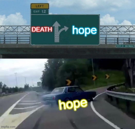Left Exit 12 Off Ramp Meme | DEATH; hope; hope | image tagged in memes,left exit 12 off ramp | made w/ Imgflip meme maker