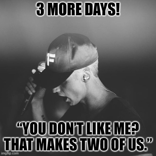 “You don’t like me? That makes two of us.” | 3 MORE DAYS! “YOU DON’T LIKE ME? THAT MAKES TWO OF US.” | image tagged in nf,3 more days | made w/ Imgflip meme maker