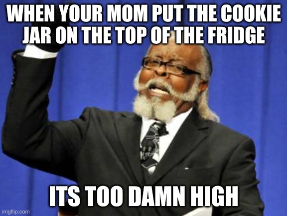 Too Damn High | WHEN YOUR MOM PUT THE COOKIE JAR ON THE TOP OF THE FRIDGE; ITS TOO DAMN HIGH | image tagged in memes,too damn high | made w/ Imgflip meme maker
