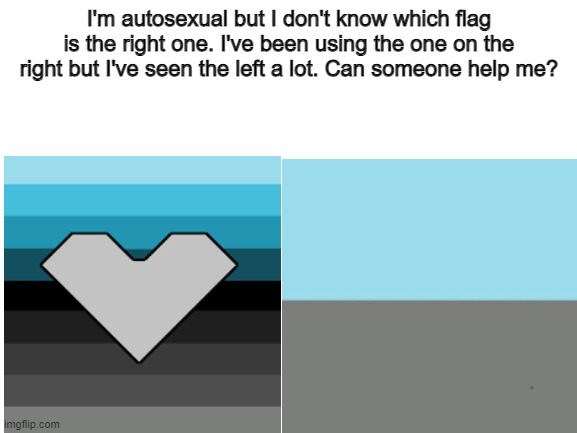 Can ya'll help me out??? | I'm autosexual but I don't know which flag is the right one. I've been using the one on the right but I've seen the left a lot. Can someone help me? | image tagged in lgbtq,autosexual,confused,help | made w/ Imgflip meme maker