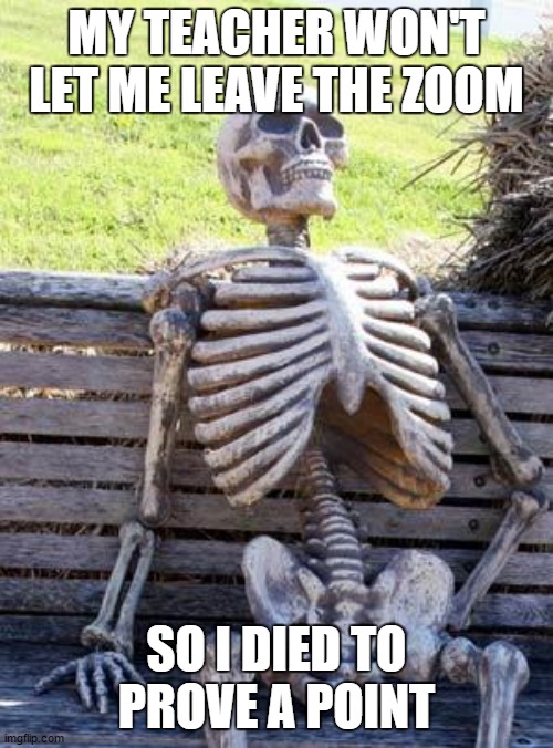 My teacher won't let me leave the zoom | MY TEACHER WON'T LET ME LEAVE THE ZOOM; SO I DIED TO PROVE A POINT | image tagged in memes,waiting skeleton | made w/ Imgflip meme maker