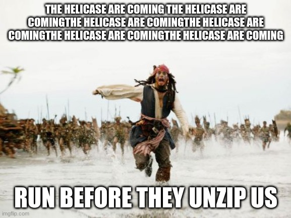 the helicase are coming | THE HELICASE ARE COMING THE HELICASE ARE COMINGTHE HELICASE ARE COMINGTHE HELICASE ARE COMINGTHE HELICASE ARE COMINGTHE HELICASE ARE COMING; RUN BEFORE THEY UNZIP US | image tagged in memes,jack sparrow being chased | made w/ Imgflip meme maker