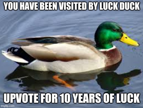 Remember to upvote | YOU HAVE BEEN VISITED BY LUCK DUCK; UPVOTE FOR 10 YEARS OF LUCK | image tagged in duck | made w/ Imgflip meme maker