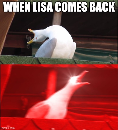 Screaming bird | WHEN LISA COMES BACK | image tagged in screaming bird | made w/ Imgflip meme maker