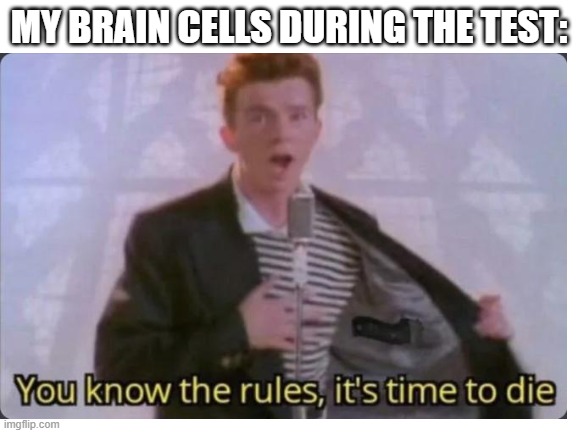 You know the rules, time to die! | MY BRAIN CELLS DURING THE TEST: | image tagged in fun,rick astley,test,brain cells | made w/ Imgflip meme maker