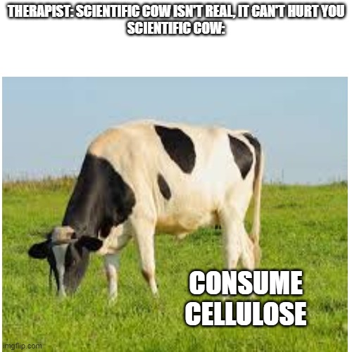 scientific cow | THERAPIST: SCIENTIFIC COW ISN'T REAL, IT CAN'T HURT YOU
SCIENTIFIC COW:; CONSUME CELLULOSE | image tagged in funny memes | made w/ Imgflip meme maker