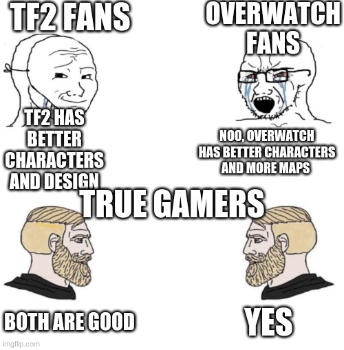 True Gamer | TF2 FANS; OVERWATCH FANS; TF2 HAS BETTER CHARACTERS AND DESIGN; NOO, OVERWATCH HAS BETTER CHARACTERS AND MORE MAPS; TRUE GAMERS; YES; BOTH ARE GOOD | image tagged in chad we know | made w/ Imgflip meme maker