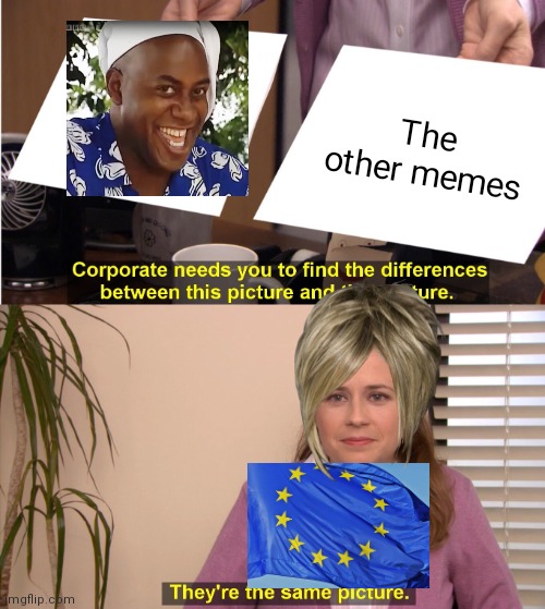 Oh my...Dont remove memes EU | The other memes | image tagged in memes,they're the same picture | made w/ Imgflip meme maker