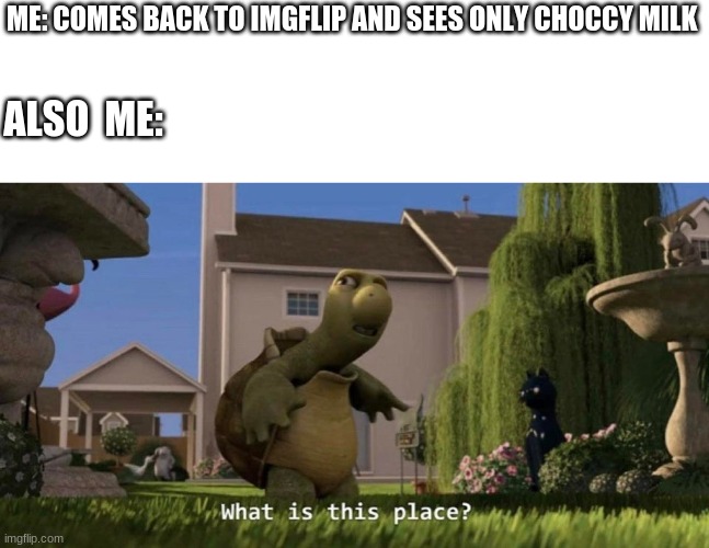 what is this. what happened | ME: COMES BACK TO IMGFLIP AND SEES ONLY CHOCCY MILK; ALSO  ME: | image tagged in what is this place,choccy milk,funny memes,have some choccy milk,straby milk | made w/ Imgflip meme maker