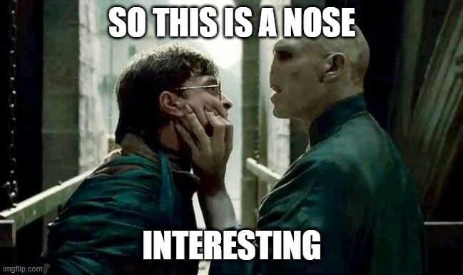 Voldemort and Harry | SO THIS IS A NOSE; INTERESTING | image tagged in voldemort and harry | made w/ Imgflip meme maker