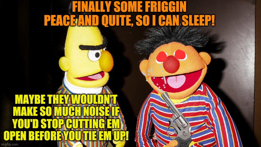 Peace and quiet | FINALLY SOME FRIGGIN PEACE AND QUITE, SO I CAN SLEEP! MAYBE THEY WOULDN'T MAKE SO MUCH NOISE IF YOU'D STOP CUTTING EM OPEN BEFORE YOU TIE EM UP! | image tagged in bert and ernie,sesame street,smith and wesson,kidnapping | made w/ Imgflip meme maker