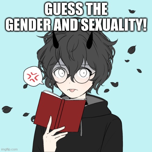 guess | GUESS THE GENDER AND SEXUALITY! | made w/ Imgflip meme maker