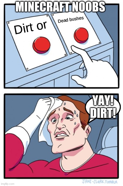 Two Buttons Meme | MINECRAFT NOOBS; Dead bushes; Dirt or; YAY! DIRT! | image tagged in memes,two buttons | made w/ Imgflip meme maker