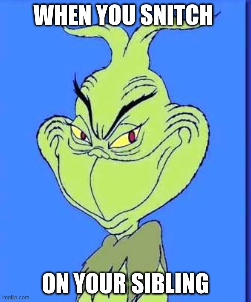 Good Grinch | WHEN YOU SNITCH; ON YOUR SIBLING | image tagged in good grinch,siblings | made w/ Imgflip meme maker