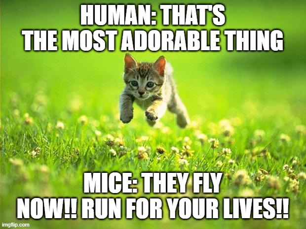 Every time I smile God Kills a Kitten | HUMAN: THAT'S THE MOST ADORABLE THING; MICE: THEY FLY NOW!! RUN FOR YOUR LIVES!! | image tagged in every time i smile god kills a kitten | made w/ Imgflip meme maker