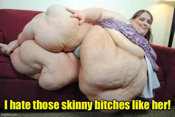 fat girl | I hate those skinny bitches like her! | image tagged in fat girl | made w/ Imgflip meme maker