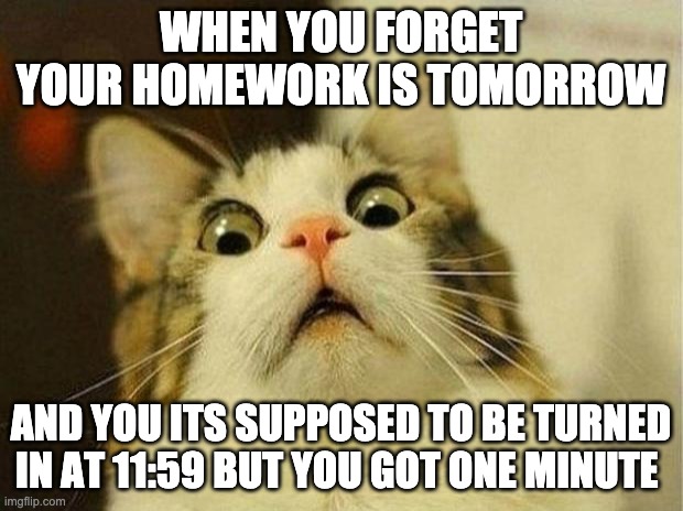 OH NO | WHEN YOU FORGET YOUR HOMEWORK IS TOMORROW; AND YOU ITS SUPPOSED TO BE TURNED IN AT 11:59 BUT YOU GOT ONE MINUTE | image tagged in memes,scared cat | made w/ Imgflip meme maker