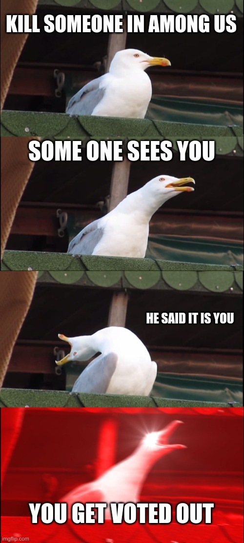 MEME? | KILL SOMEONE IN AMONG US; SOME ONE SEES YOU; HE SAID IT IS YOU; YOU GET VOTED OUT | image tagged in memes,inhaling seagull | made w/ Imgflip meme maker