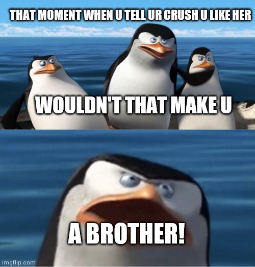 True | THAT MOMENT WHEN U TELL UR CRUSH U LIKE HER; WOULDN'T THAT MAKE U; A BROTHER! | image tagged in wouldn't that make you | made w/ Imgflip meme maker