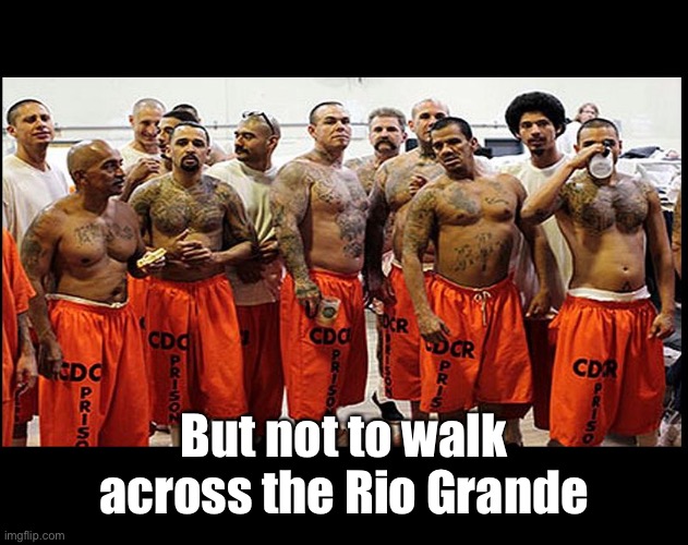 Illegal Aliens for Real | But not to walk across the Rio Grande | image tagged in illegal aliens for real | made w/ Imgflip meme maker