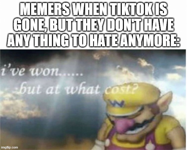 What will we hate? | MEMERS WHEN TIKTOK IS GONE, BUT THEY DON'T HAVE ANY THING TO HATE ANYMORE: | image tagged in i won but at what cost | made w/ Imgflip meme maker