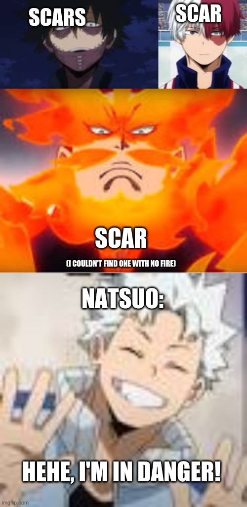 Natsuo Is Next... | SCAR; SCARS; SCAR; NATSUO:; (I COULDN'T FIND ONE WITH NO FIRE); HEHE, I'M IN DANGER! | image tagged in todoroki | made w/ Imgflip meme maker