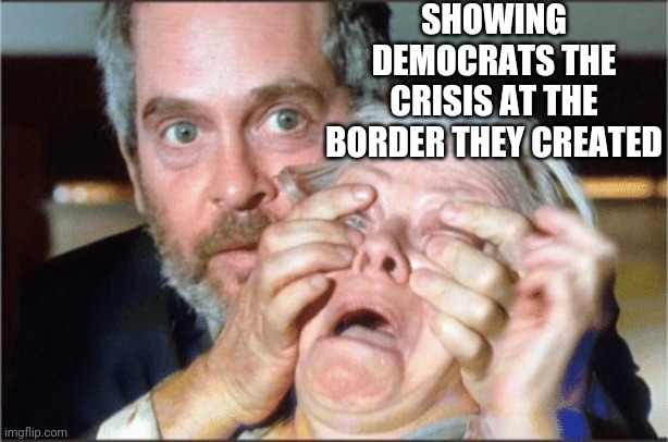 Biden is a fraudulent president | SHOWING DEMOCRATS THE CRISIS AT THE BORDER THEY CREATED | image tagged in bird box eyes open,democrats,illegals,joe biden,liberal logic,dumbasses | made w/ Imgflip meme maker