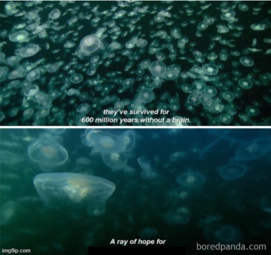 A ray of hope for ____ | image tagged in a ray of hope for ____ | made w/ Imgflip meme maker