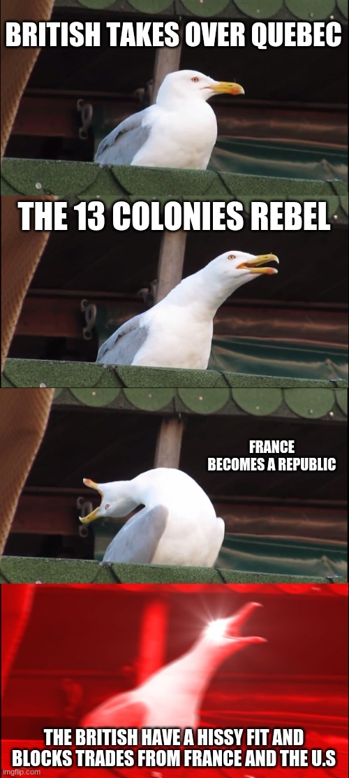 Inhaling Seagull Meme | BRITISH TAKES OVER QUEBEC; THE 13 COLONIES REBEL; FRANCE BECOMES A REPUBLIC; THE BRITISH HAVE A HISSY FIT AND BLOCKS TRADES FROM FRANCE AND THE U.S | image tagged in memes,inhaling seagull | made w/ Imgflip meme maker