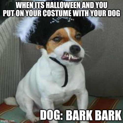 Dogs | WHEN ITS HALLOWEEN AND YOU PUT ON YOUR COSTUME WITH YOUR DOG; DOG:; BARK BARK | image tagged in memes,meme,funny,dogs,funny dogs,pets | made w/ Imgflip meme maker