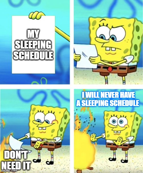 Spongebob Burning Paper | MY SLEEPING SCHEDULE; I WILL NEVER HAVE A SLEEPING SCHEDULE; DON'T NEED IT | image tagged in spongebob burning paper | made w/ Imgflip meme maker