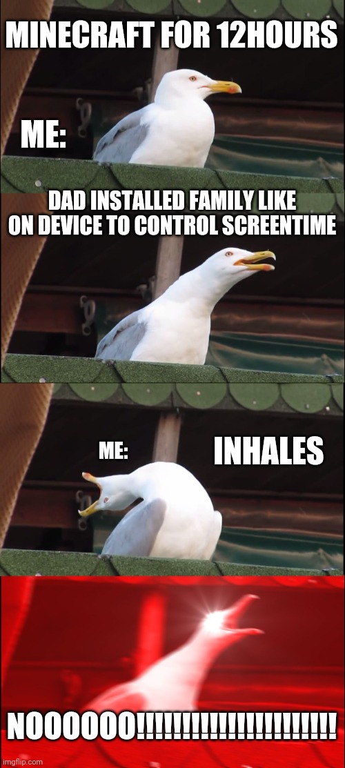 Inhaling Seagull Meme | MINECRAFT FOR 12HOURS; ME:; DAD INSTALLED FAMILY LIKE ON DEVICE TO CONTROL SCREENTIME; INHALES; ME:; NOOOOOO!!!!!!!!!!!!!!!!!!!!!! | image tagged in memes,inhaling seagull | made w/ Imgflip meme maker