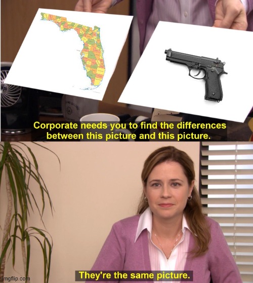 Florida = Gun | image tagged in memes,they're the same picture,florida,guns | made w/ Imgflip meme maker