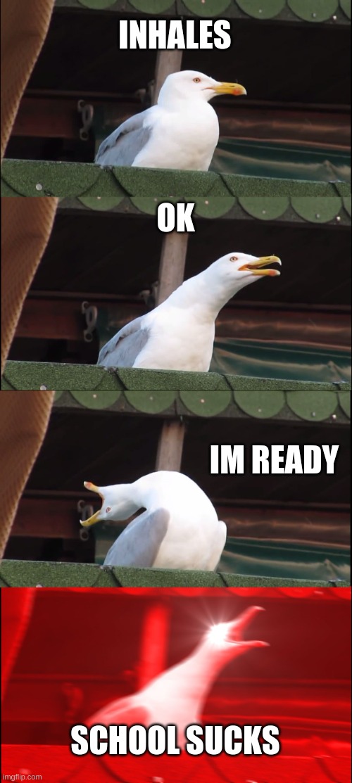 AAAAAAAAAAAAAAAAAAAAAAAAAAAAAAAAAAAAAAAAAAAAA | INHALES; OK; IM READY; SCHOOL SUCKS | image tagged in memes,inhaling seagull | made w/ Imgflip meme maker