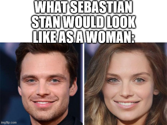 GORGEOUS!!! | WHAT SEBASTIAN STAN WOULD LOOK LIKE AS A WOMAN: | image tagged in marvel | made w/ Imgflip meme maker