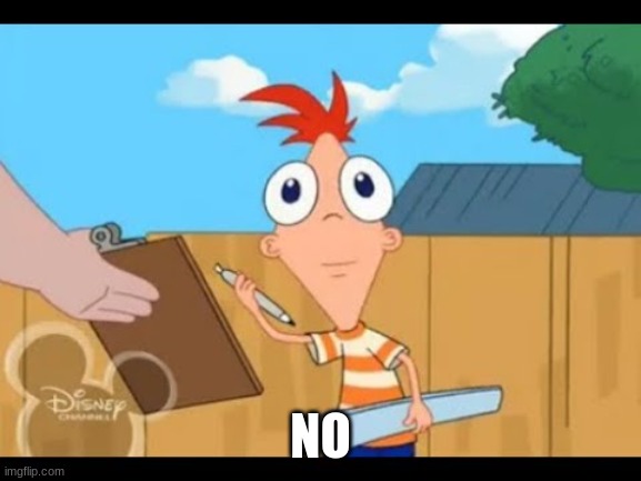 Phineas facing camera | NO | image tagged in phineas facing camera | made w/ Imgflip meme maker