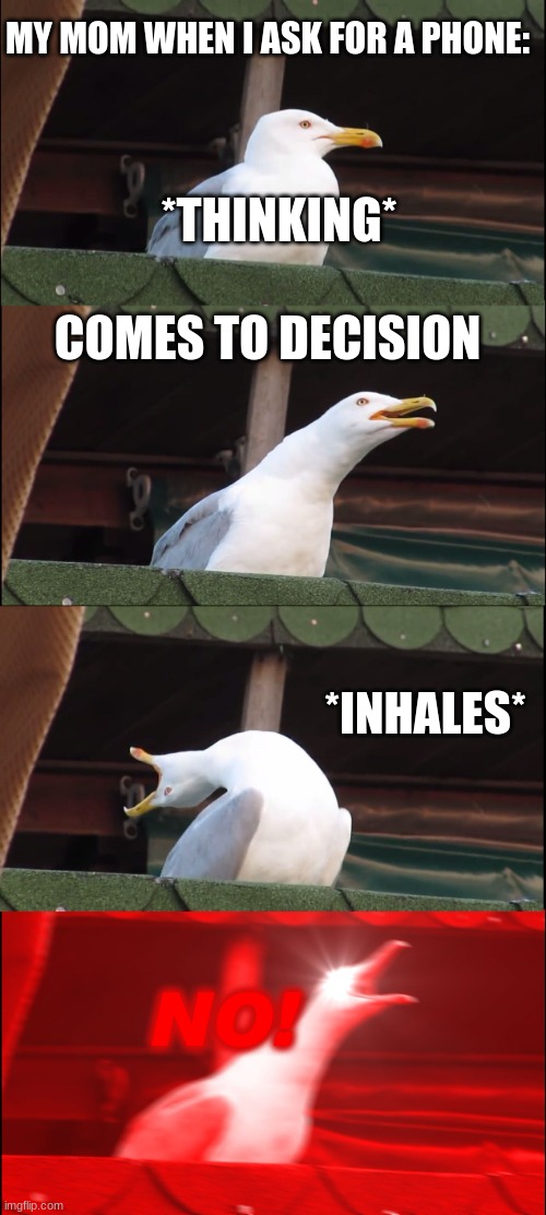 I'm serious, I'm 13 and I don't have one. | MY MOM WHEN I ASK FOR A PHONE:; *THINKING*; COMES TO DECISION; *INHALES*; NO! | image tagged in memes,inhaling seagull | made w/ Imgflip meme maker