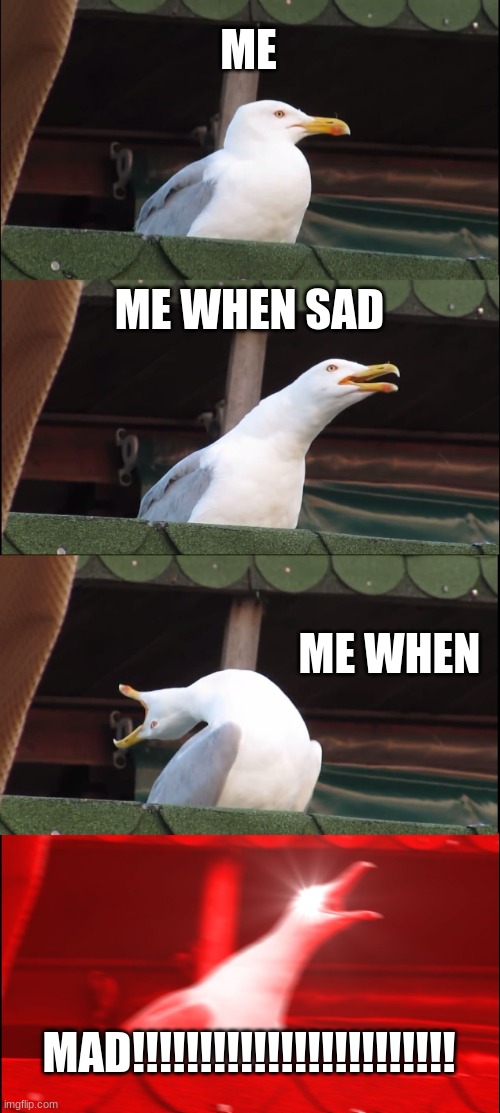 Inhaling Seagull | ME; ME WHEN SAD; ME WHEN; MAD!!!!!!!!!!!!!!!!!!!!!!!! | image tagged in memes,inhaling seagull | made w/ Imgflip meme maker