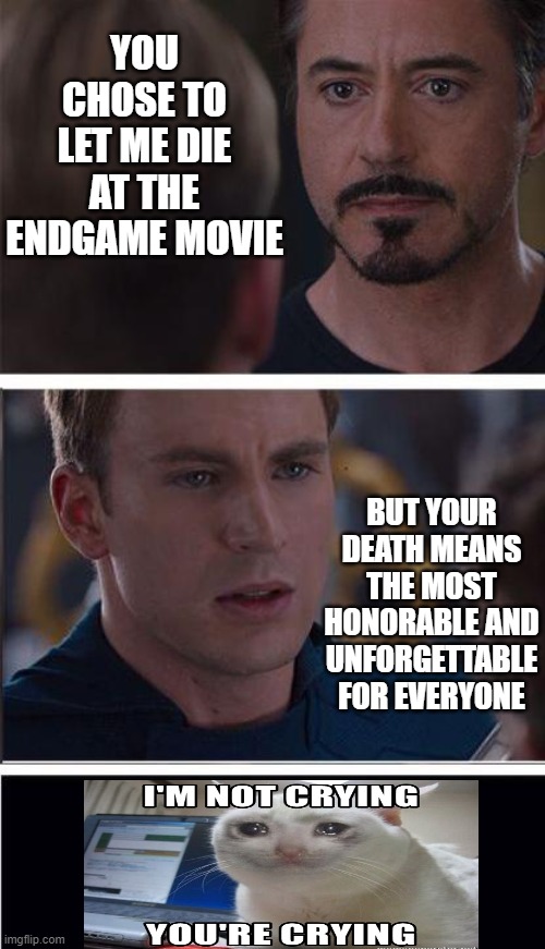 I can't. | YOU CHOSE TO LET ME DIE AT THE ENDGAME MOVIE; BUT YOUR DEATH MEANS THE MOST HONORABLE AND UNFORGETTABLE FOR EVERYONE | image tagged in memes,marvel civil war 2 | made w/ Imgflip meme maker