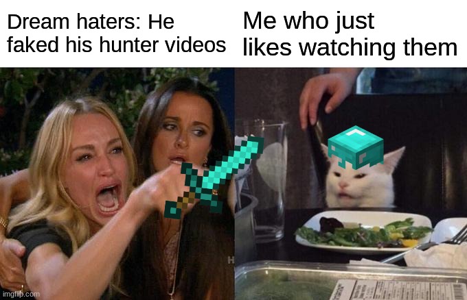 Woman Yelling At Cat | Dream haters: He faked his hunter videos; Me who just likes watching them | image tagged in memes,woman yelling at cat | made w/ Imgflip meme maker