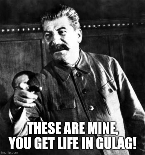 Stalin | THESE ARE MINE, YOU GET LIFE IN GULAG! | image tagged in stalin | made w/ Imgflip meme maker