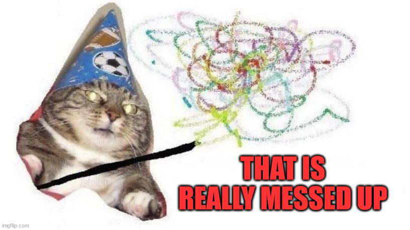 Wizard Cat | THAT IS REALLY MESSED UP | image tagged in wizard cat | made w/ Imgflip meme maker