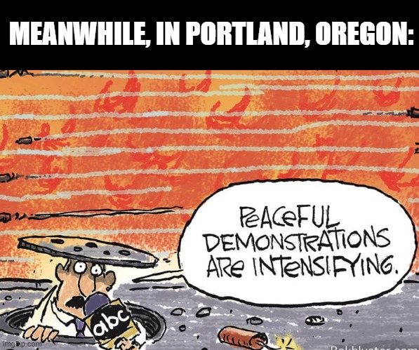 Let's not forget that there are still thugs trying to destroy state and federal buildings | MEANWHILE, IN PORTLAND, OREGON: | image tagged in portland,politics | made w/ Imgflip meme maker