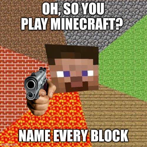 Minecraft Steve |  OH, SO YOU PLAY MINECRAFT? NAME EVERY BLOCK | image tagged in minecraft steve | made w/ Imgflip meme maker