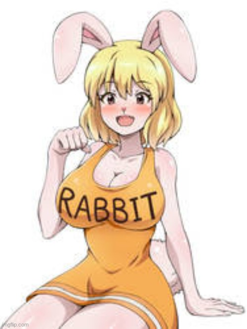 my new crush she is from one piece | image tagged in one piece,memes,furry,carrots | made w/ Imgflip meme maker
