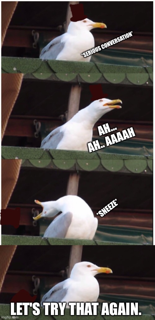 You can't look serious when you sneeze | *SERIOUS CONVERSATION*; AH... AH.. AAAAH; *SNEEZE*; LET'S TRY THAT AGAIN. | image tagged in memes,seagull | made w/ Imgflip meme maker