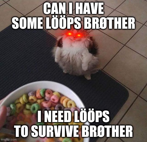 Loops Brother | CAN I HAVE SOME LÖÖPS BRØTHER; I NEED LÖÖPS TO SURVIVE BRØTHER | image tagged in loops brother | made w/ Imgflip meme maker
