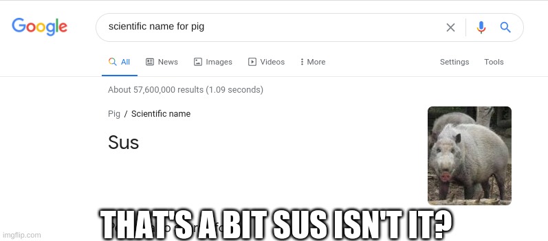 pig is sus | THAT'S A BIT SUS ISN'T IT? | image tagged in among us,sus,pig | made w/ Imgflip meme maker